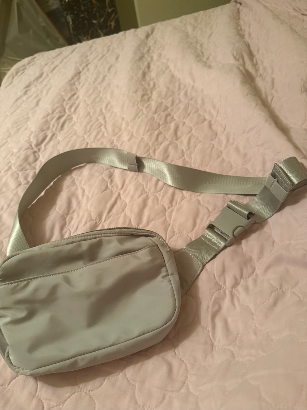 Light Gray Women's Crossbody Belt Bag